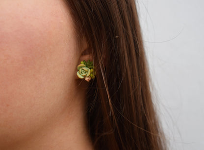 Succulent Earrings | Lime
