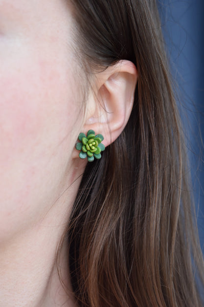 Succulent Earrings | Midnight Green