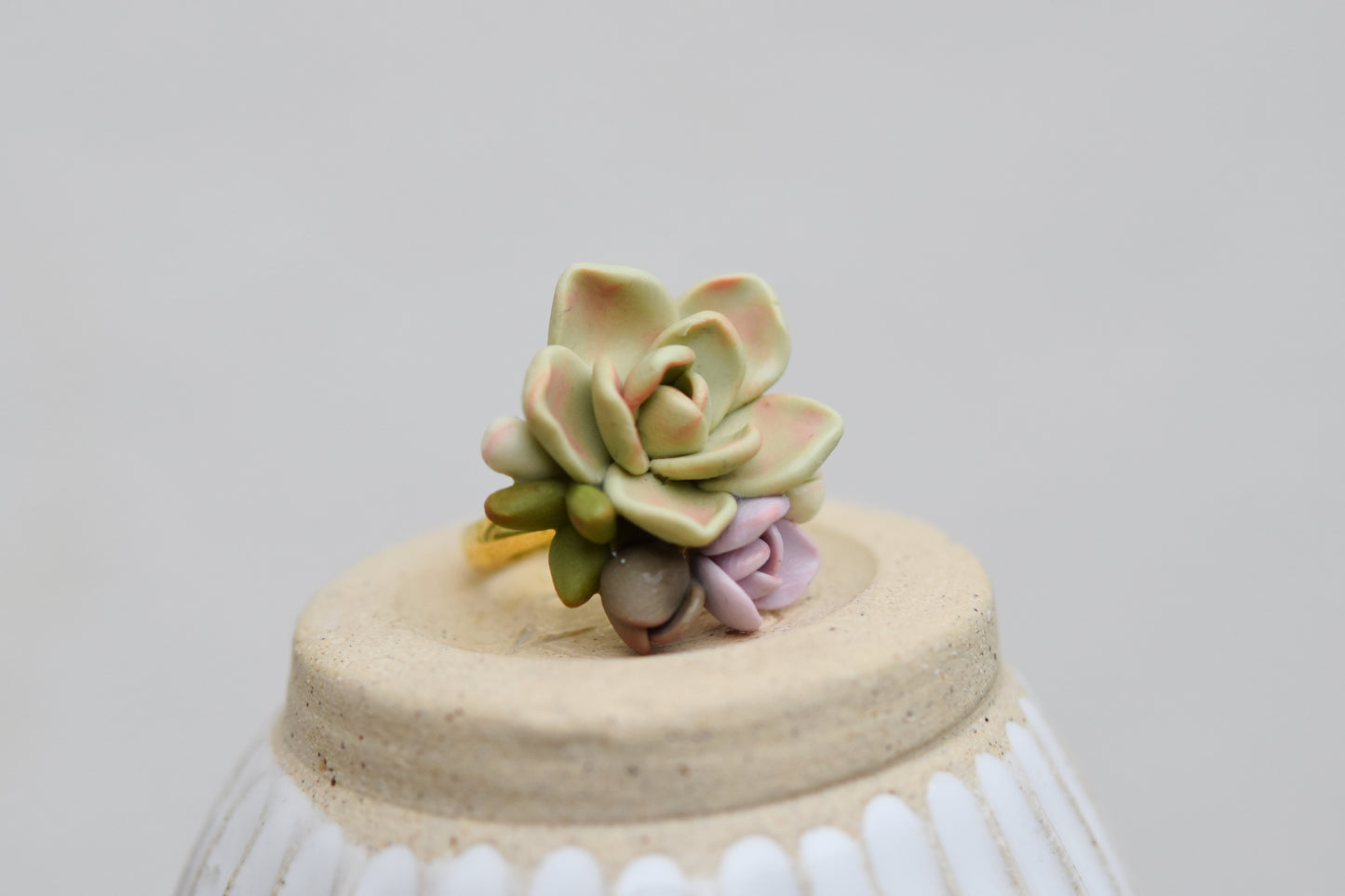 Succulent Ring | Olive Garden