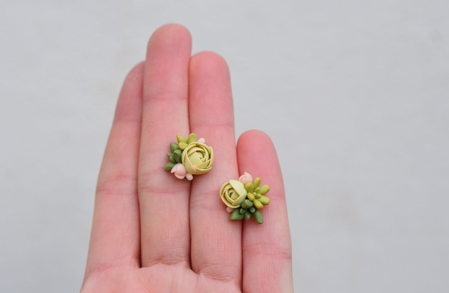 Succulent Earrings | Lime