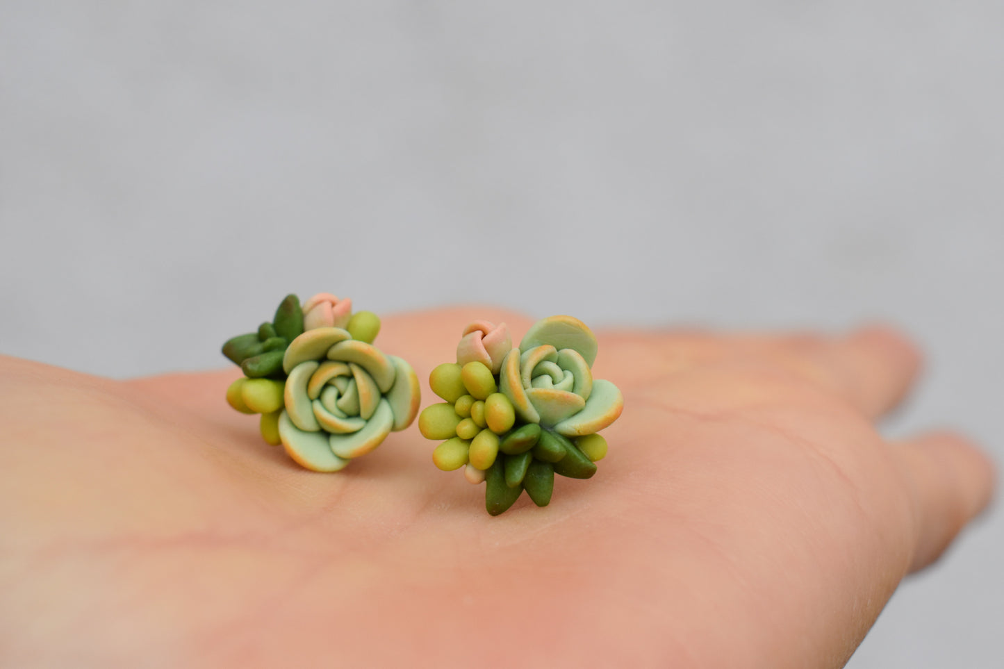 Succulent Earrings | Lime