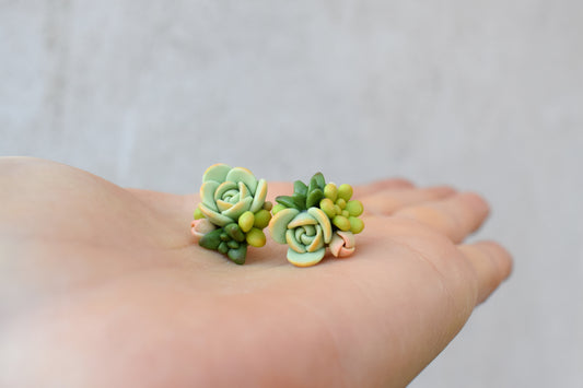 Succulent Earrings | Lime