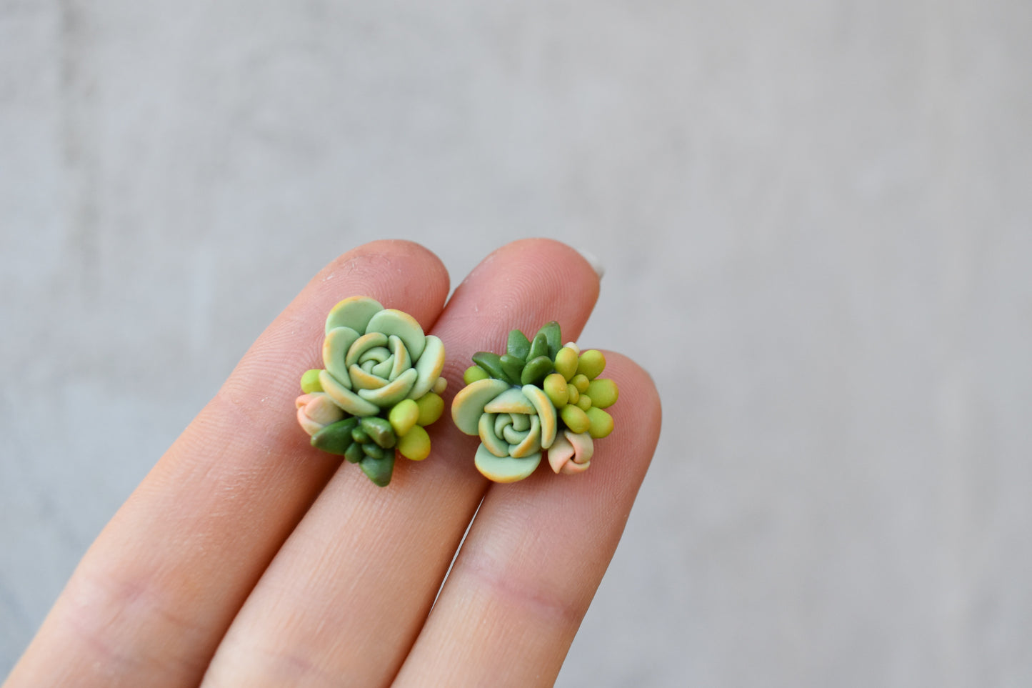 Succulent Earrings | Lime