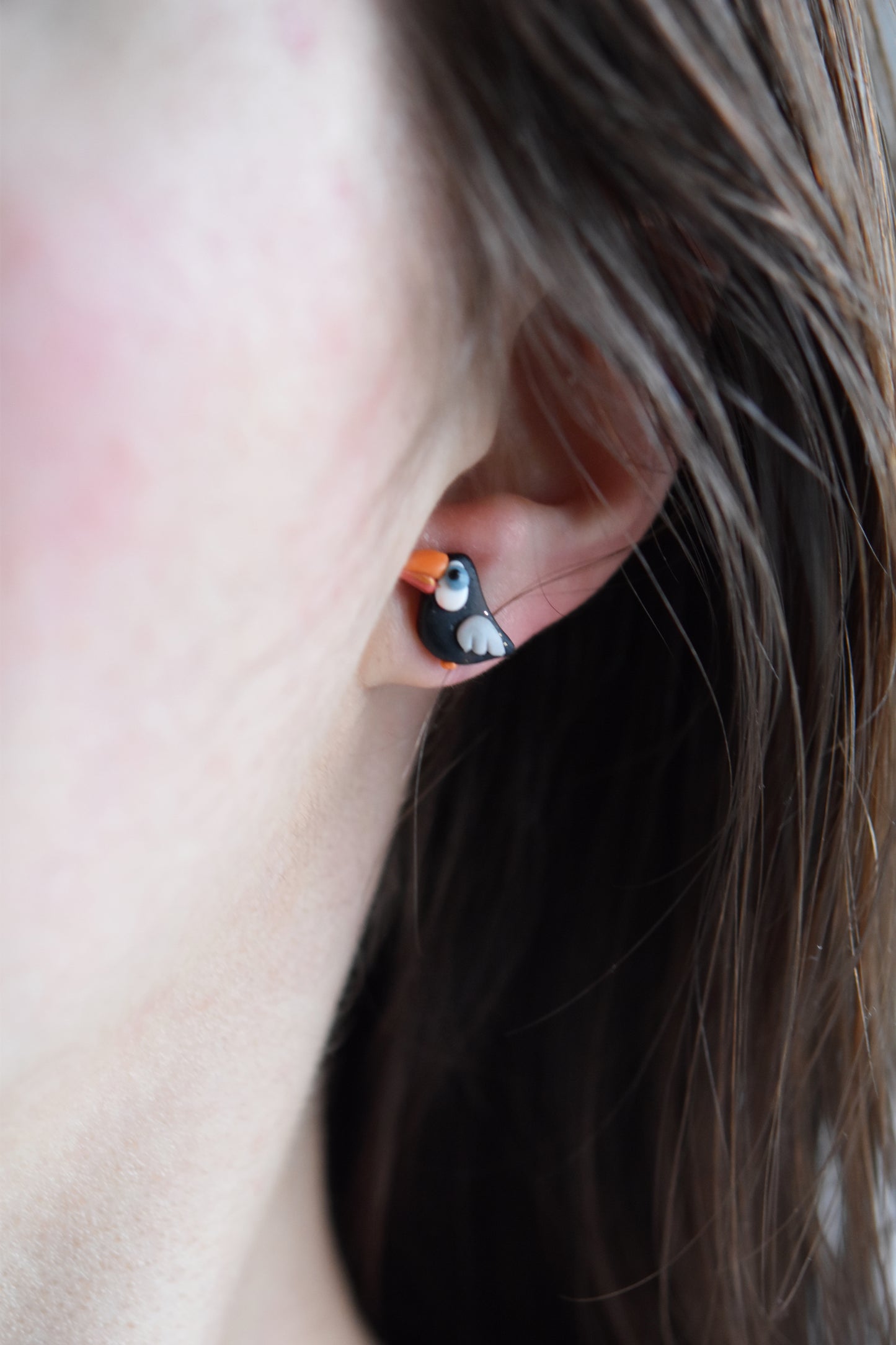 Toucan Studs Earrings