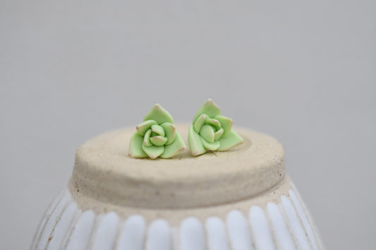 Succulent Earrings | Spring Garden