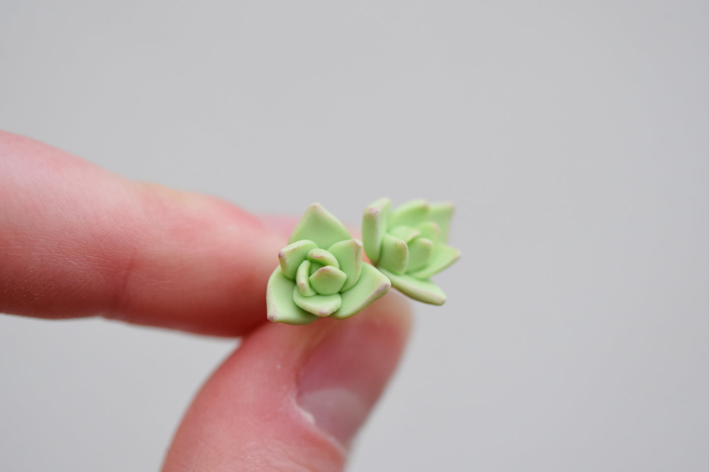 Succulent Earrings | Botanical