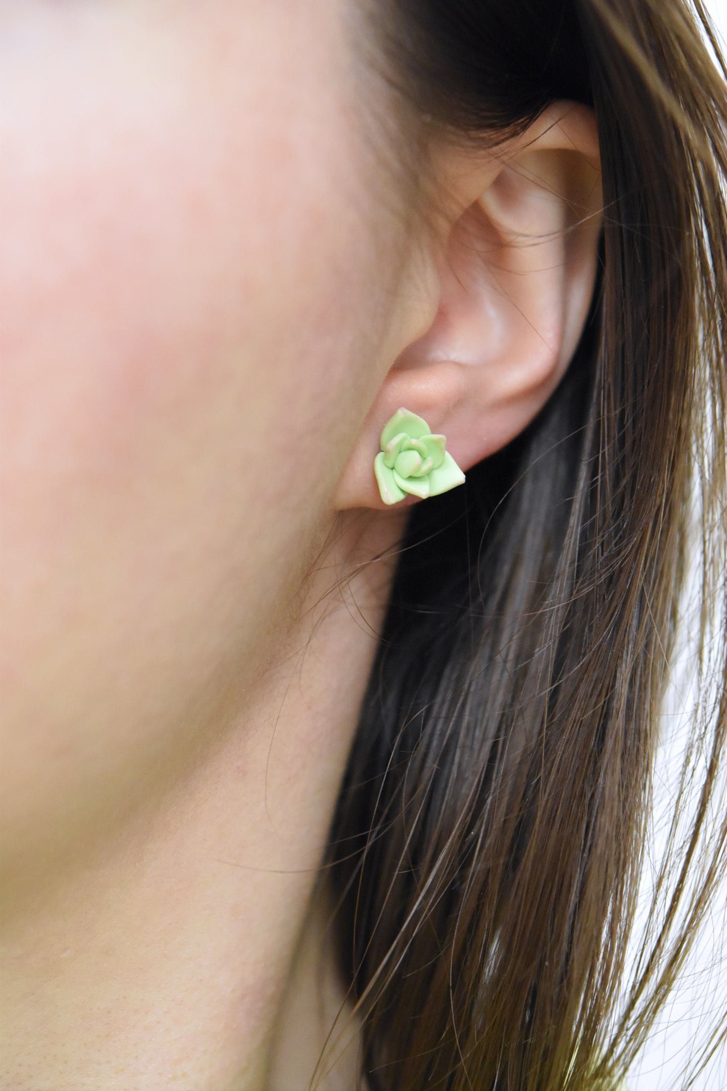 Succulent Earrings | Spring Garden