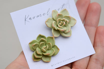 Succulent Brooch | Olive Garden
