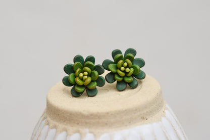 Succulent Earrings | Midnight Green