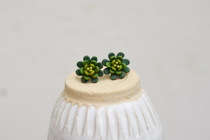 Succulent Earrings | Midnight Green